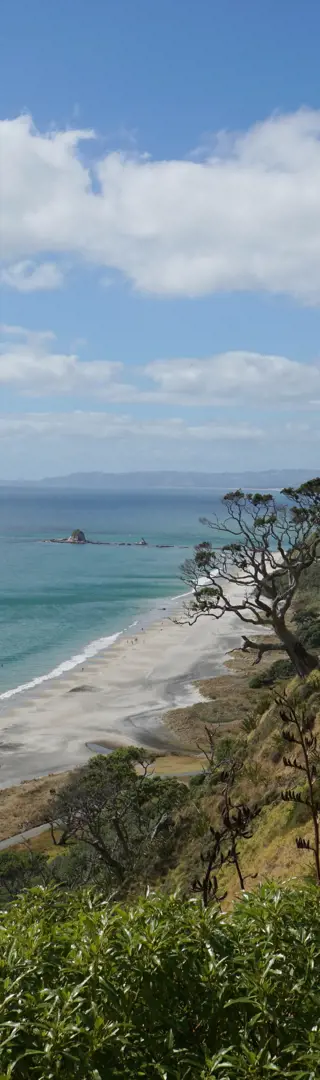 Küstenausblicke von oben